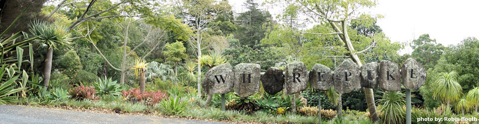 What to do in Kerikeri