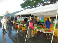 Fresh Produce at the Farmers Market