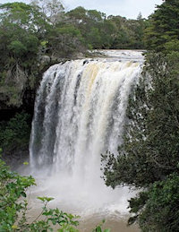 Kerikeri's spectacular Rainbow Falls